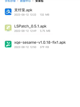 lspatch免root版