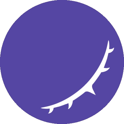 Koishi机器人app手机版