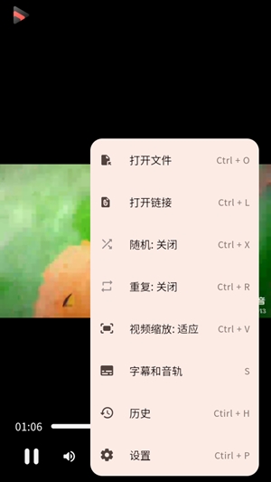 Iris播放器最新版