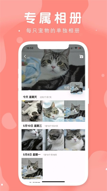 有宠官方安卓版