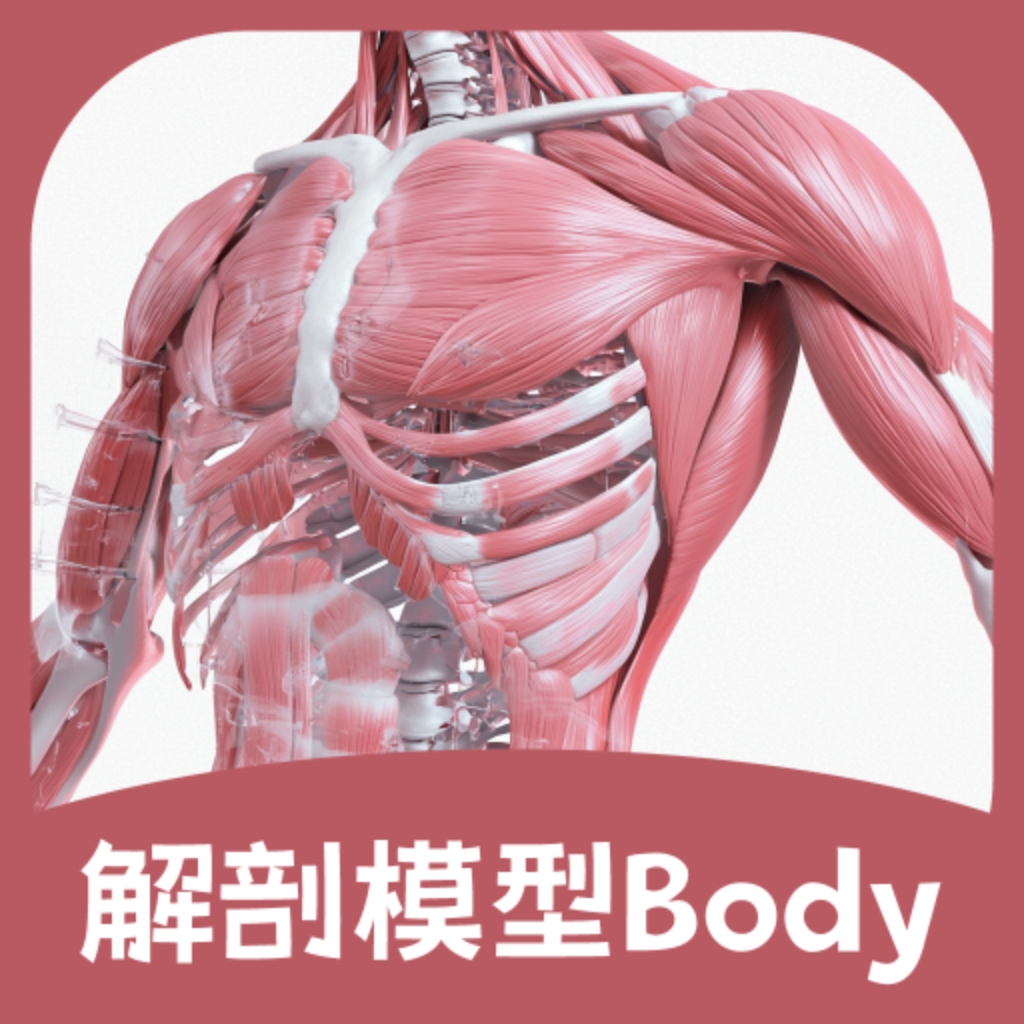 解剖模型Body最新安卓版