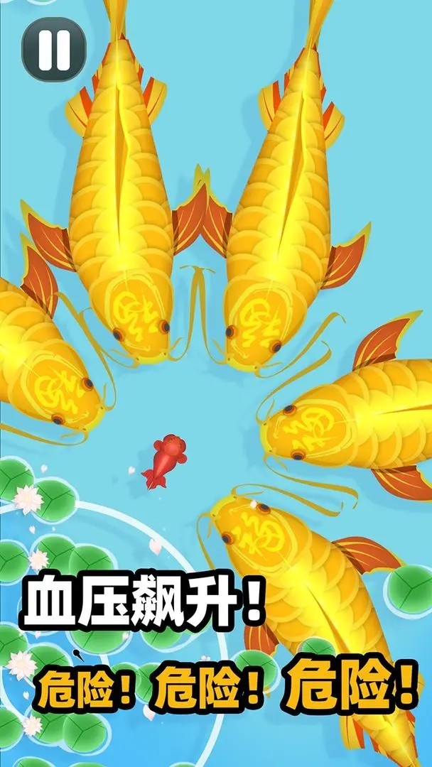合成大锦鲤游戏安卓官方版