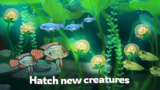 Pondlife2025最新手机版