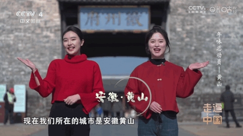 悠悠电视t