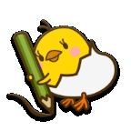 piyo日志安卓版