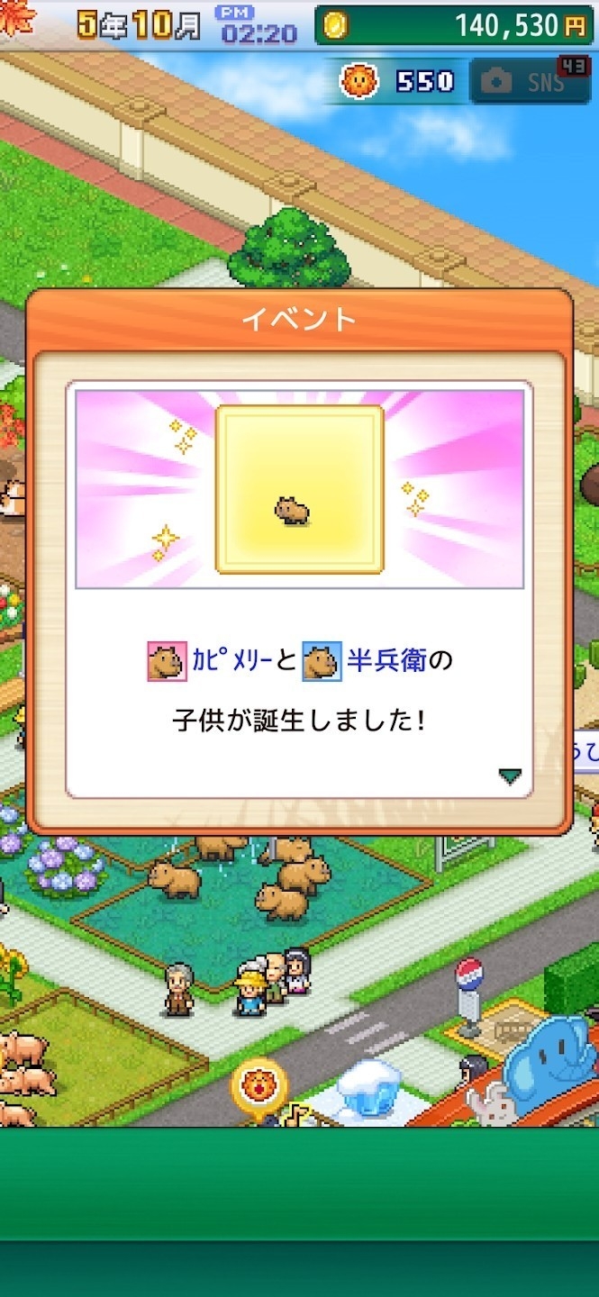 探险顽皮动物园（Zoo Park Story）官方中文版