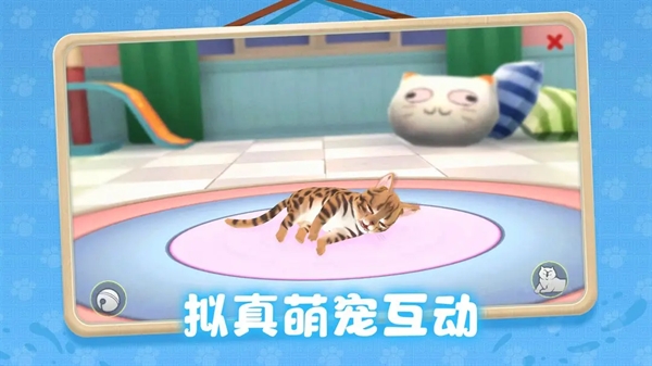 养了个猫2024最新官方正版