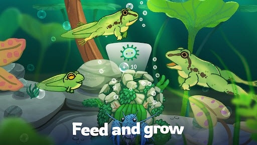 Pondlife2025最新手机版