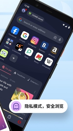 Opera Mini浏览器最新版