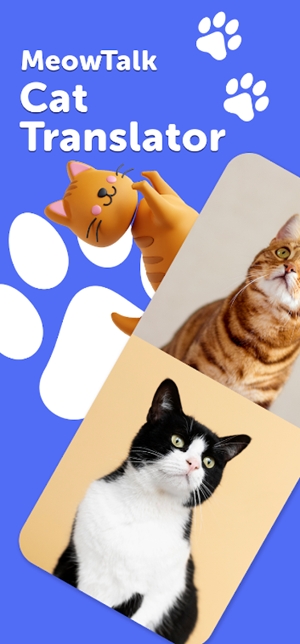 meowtalk喵说最新版