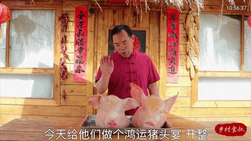 大飞直播TV电视版