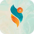 Shadow KWGT最新专业版