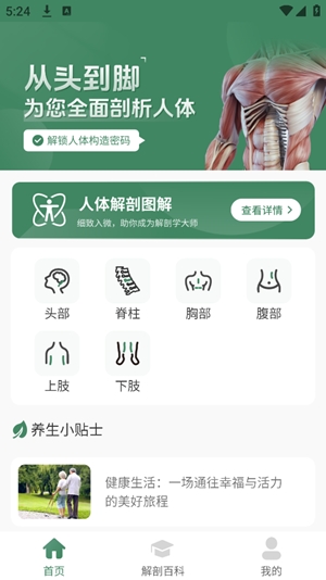 解剖模型Body最新安卓版