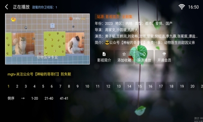 苹果影视(TV)官方最新版