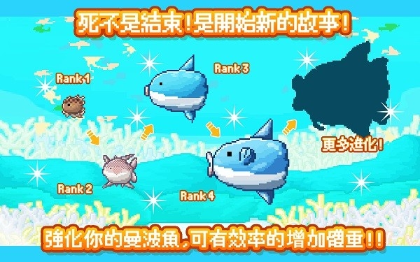 活下去曼波鱼最新版