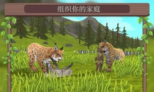 野生动物手游安卓版