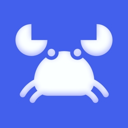 Storm Sniffer安卓抓包工具APP