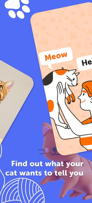 meowtalk喵说最新版