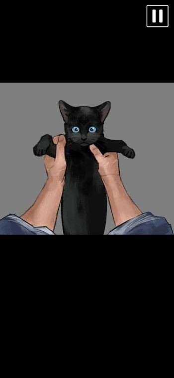黑猫厄舍的遗产手游最新版