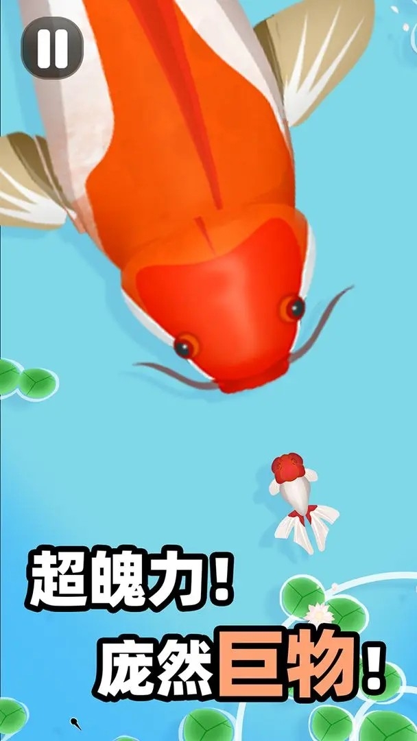 合成大锦鲤游戏安卓官方版