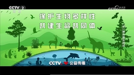 柠檬t