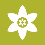 安装狮（Install Lion）官方正版