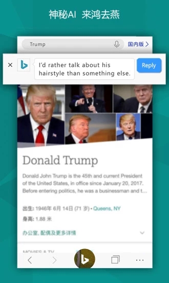 必应国际版(Microsoft Bing)