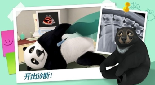 小熊的动物诊所