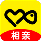 伊对相亲app