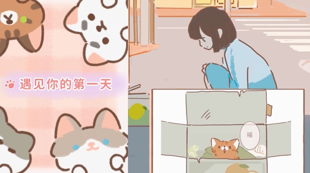 遇见你的猫手机版