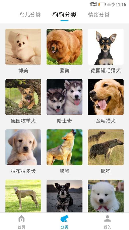 兽语翻译(Roar Translater)