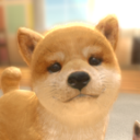 与狗同行(withMyDOG)