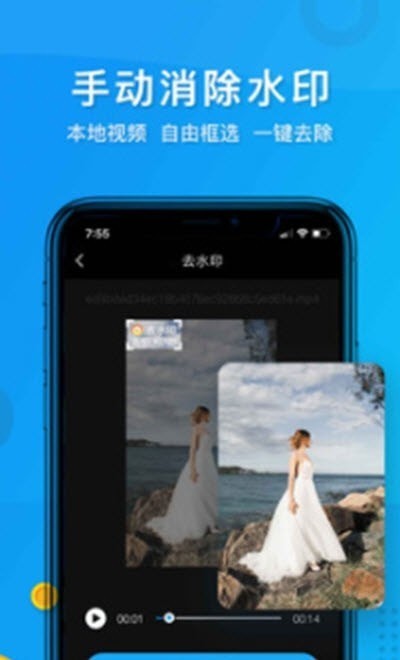 水印大侠(抖音去水印)