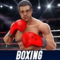 拳击星战游戏(Boxing - Fighting Clash)