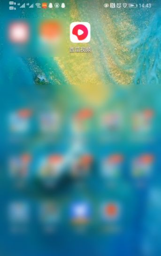 西瓜视频app官方下载安装