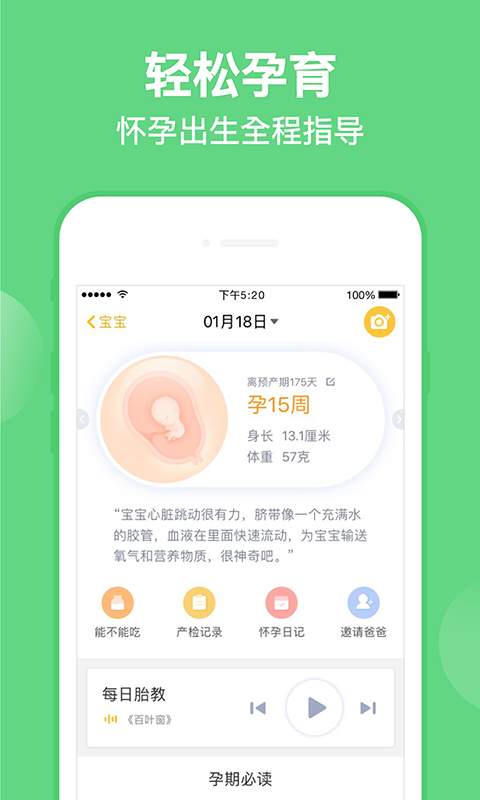 亲宝宝正版
