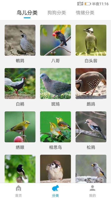 兽语翻译(Roar Translater)