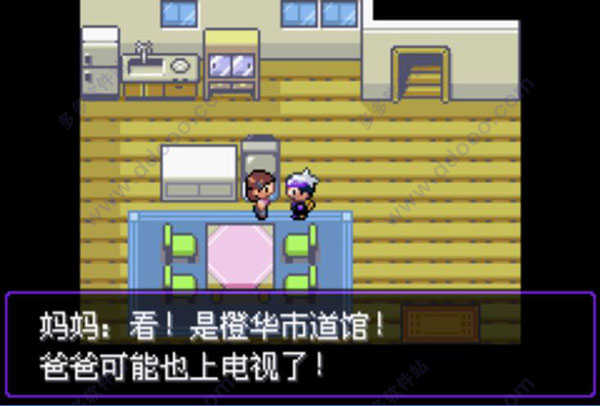 口袋妖精漆黑的魅影5.0