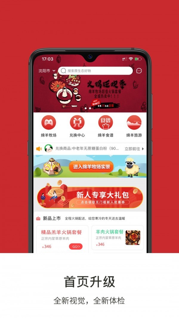 绵羊牧场