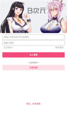 B次元lsp