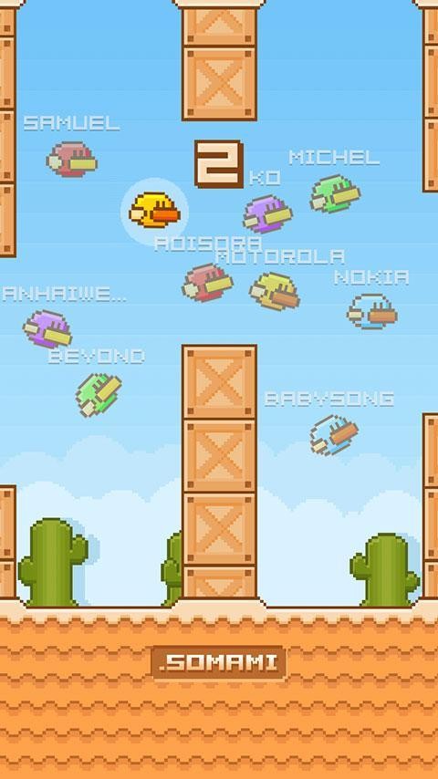鸭子群飞(Flying MMO)