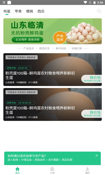 道农拍