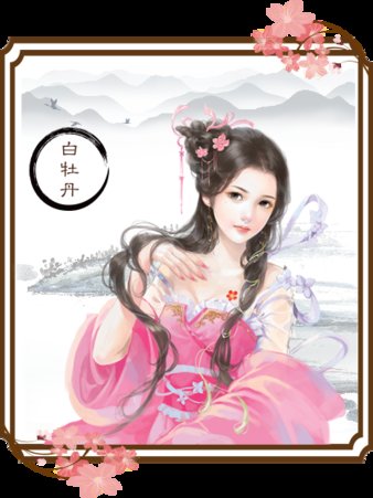龙雏7.8旧版