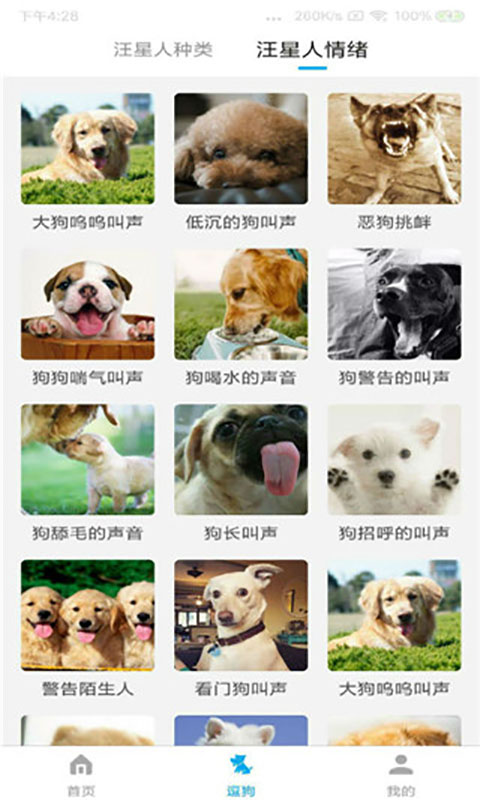 宠物翻译器