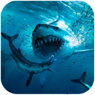 巨齿鲨模拟器（Megalodon Simulator）