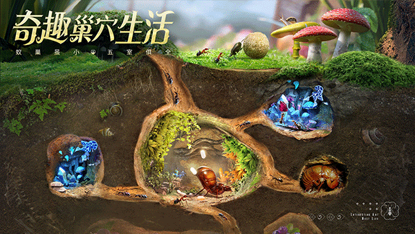 小小蚁国最新版