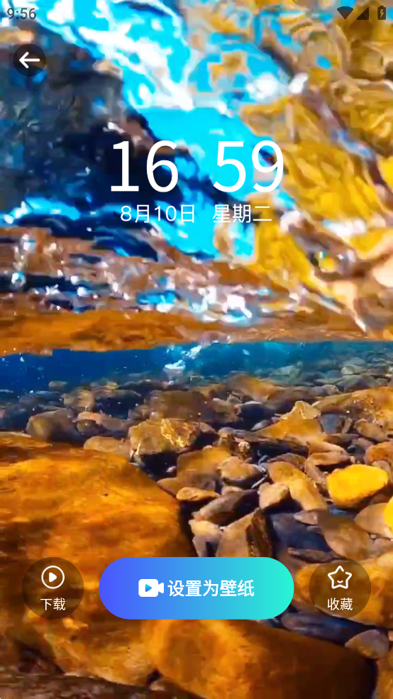 小池壁纸免费版