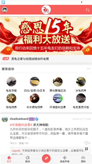 灵龟之家