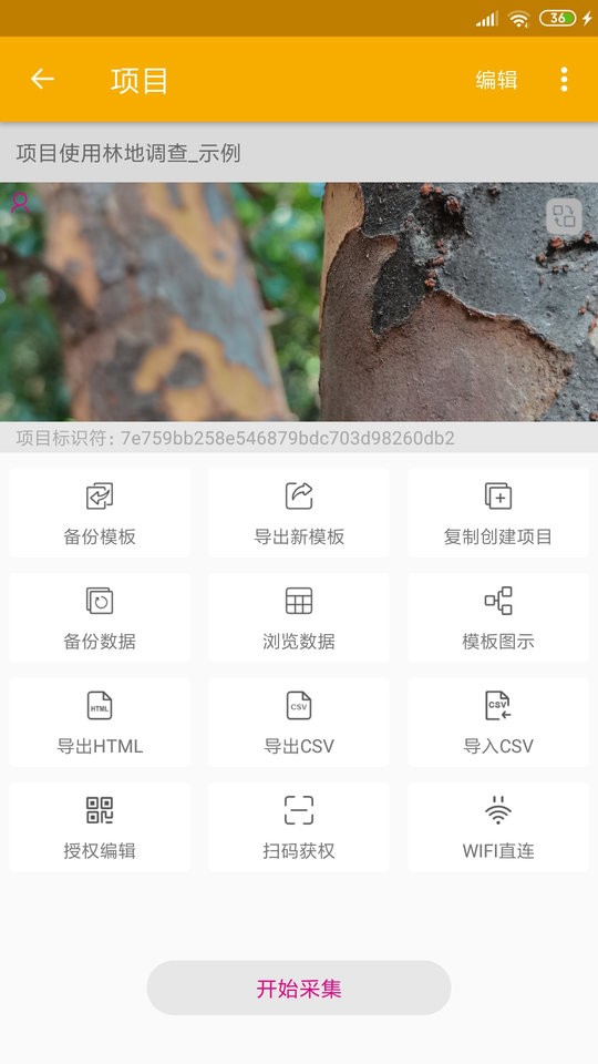 数图