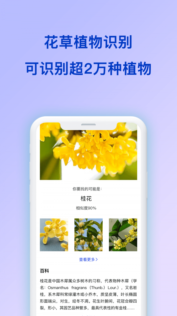 动物识别